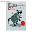   5 100  Super Cool 1 /1643096 -    ""   